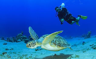 Diving in North Cyprus